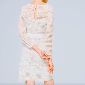 White House Black Market Lace Dress